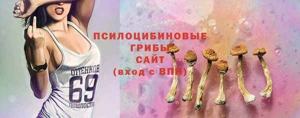 mix Алексин