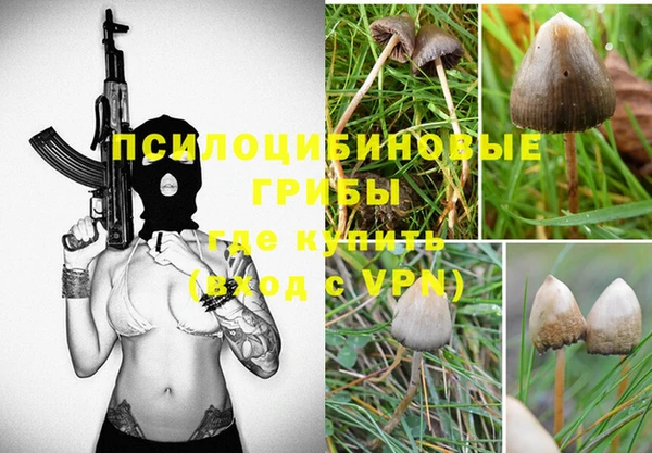 мескалин Алексеевка
