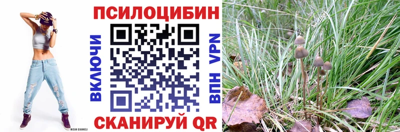 Галлюциногенные грибы MAGIC MUSHROOMS Междуреченск