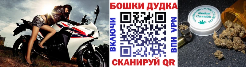 МАРИХУАНА сатива Междуреченск